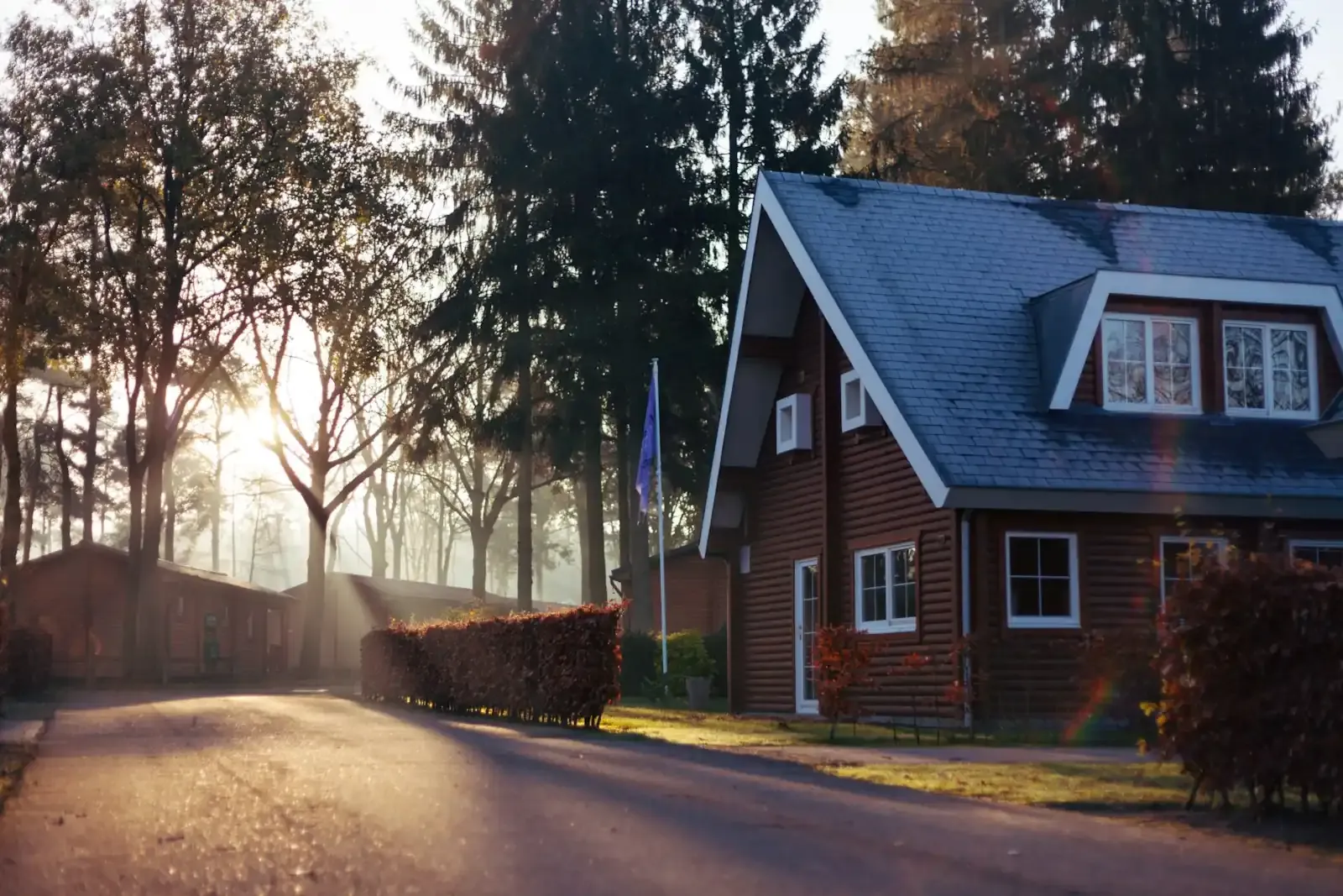 A family home among trees