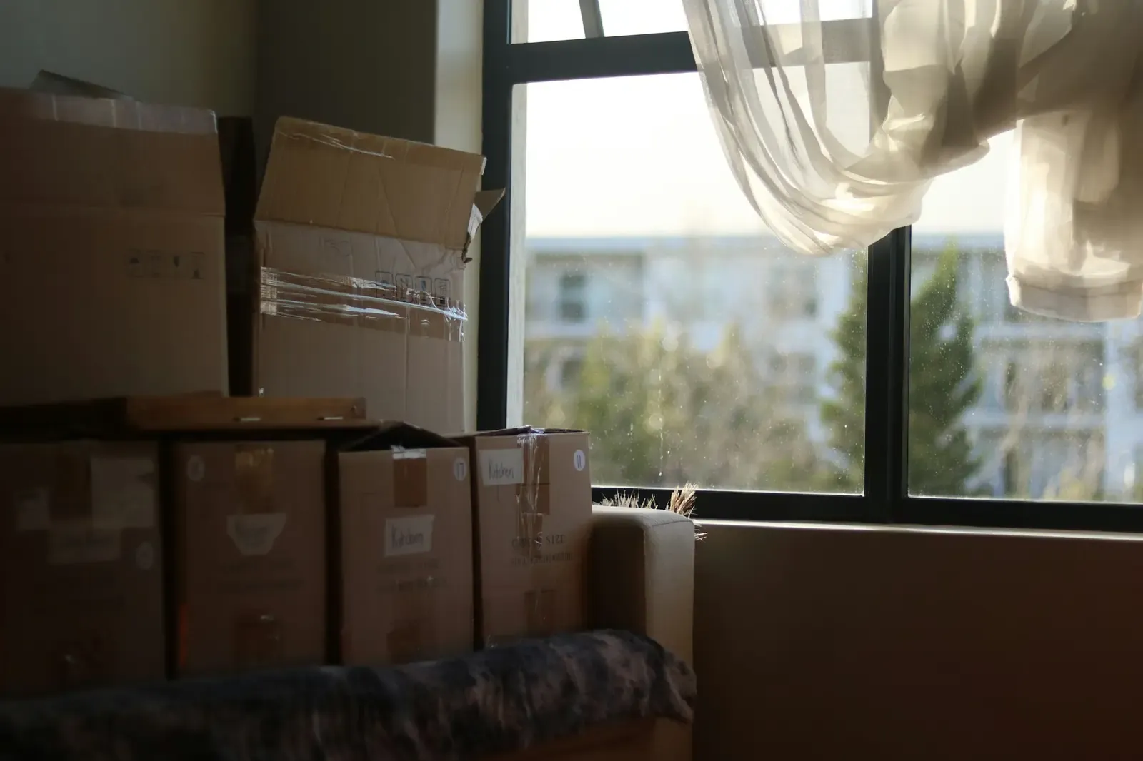 Packed moving boxes stacked neatly by a bright window